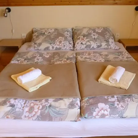 아파트 Zsuzsa Apartman Hévíz