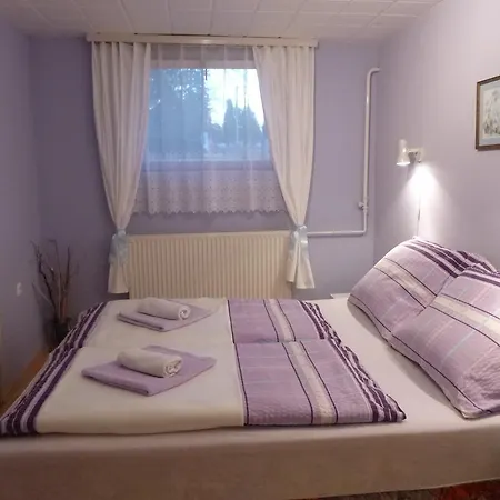 Zsuzsa Apartman 아파트 Hévíz